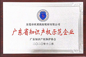 広东省知的権モデル